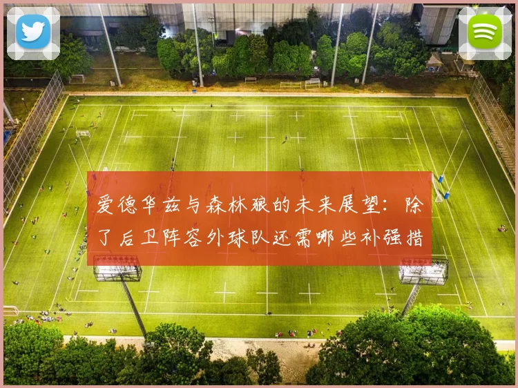 爱德华兹与森林狼的未来展望：除了后卫阵容外球队还需哪些补强措施